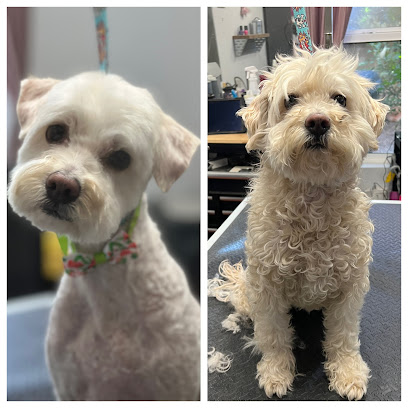 Sherrys K9 Creations