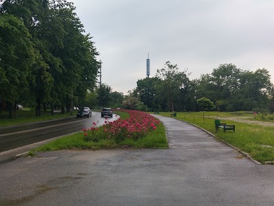 Photos of Strada Trandafirilor