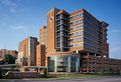 David B. Damrich, MD - OBGYN Practice in Birmingham, AL