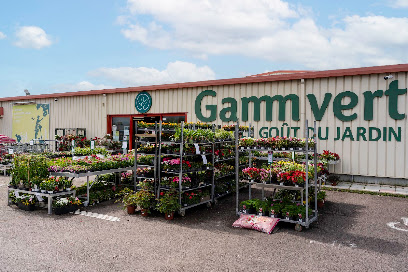 GAMM VERT
