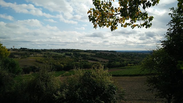 Domaine d'Escausses - Balaran Denis Vigneron