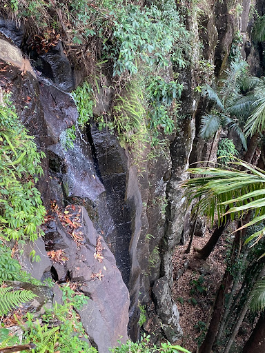 Witches Falls walking track - Thumbnail