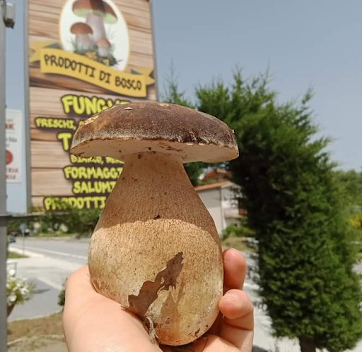 Prodotti Di Bosco Funghi e Tartufi Cantalupo - Thumbnail
