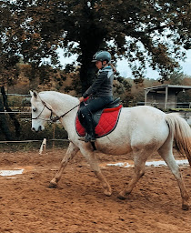 Photo n°3 de Centre Equestre Equileuk à Larée (Centre équestre)