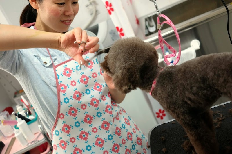 Dog Salon furiru ドッグサロンフリル