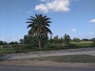 Photos of Chachua Bazar Central Mosque