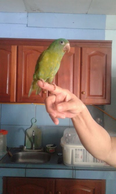 Photos of Veterinaria Fauna