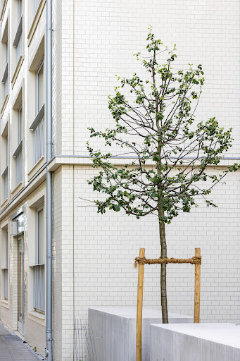 Urban Design Fassadendämmung GmbH & Co.KG - Thumbnail