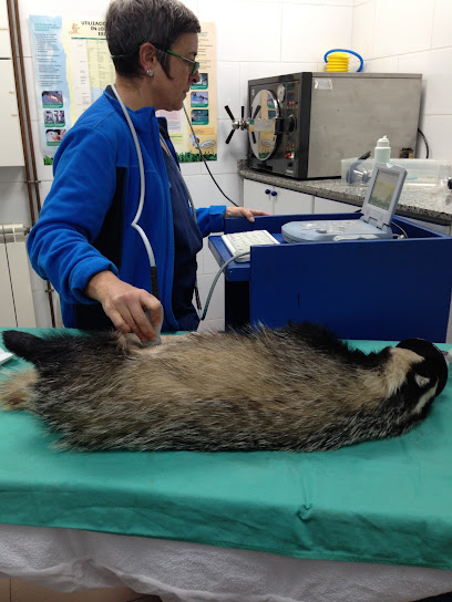 Clinica Veterinaria Nacho Torcida