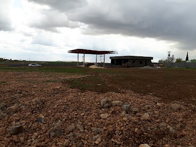 gas-station