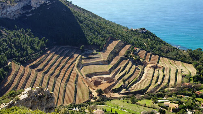 Clos Sainte-Magdeleine - Vins blanc et vins rosé de Cassis by null