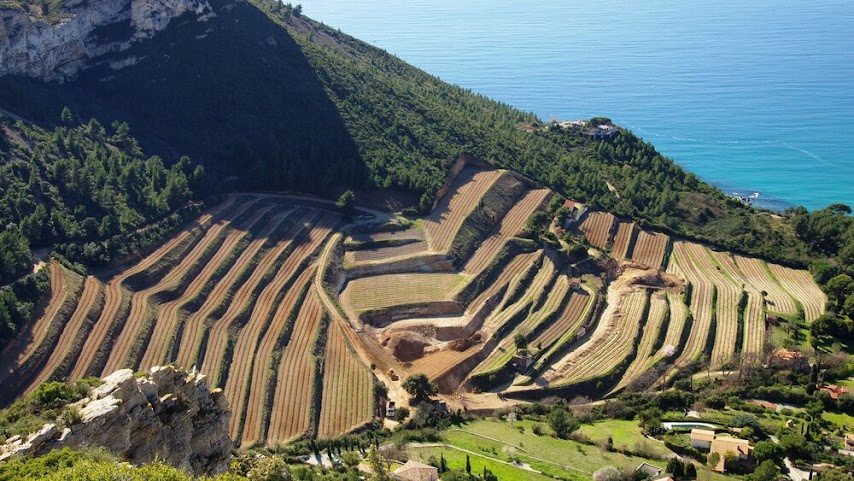 Clos Sainte-Magdeleine - Vins blanc et vins rosé de Cassis by null