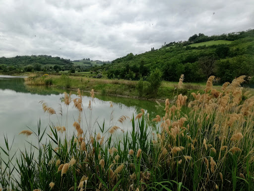 Parco Montesi - Visual