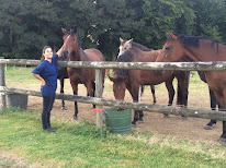 Dr Elisa BRAUD - Vétérinaire équin à Tauriac