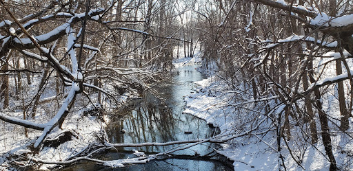 Goold Park - Visual
