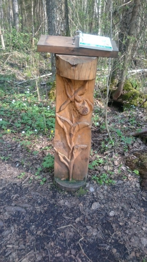 Parika raba matkarada