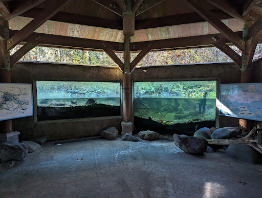 Underwater Fish Viewing Chamber - Thumbnail