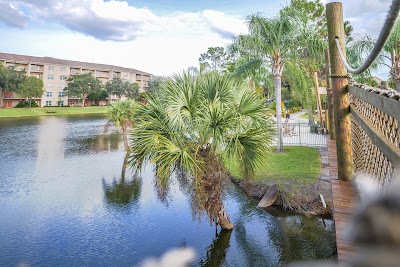 Photos of Liki Tiki Village by Diamond Resorts