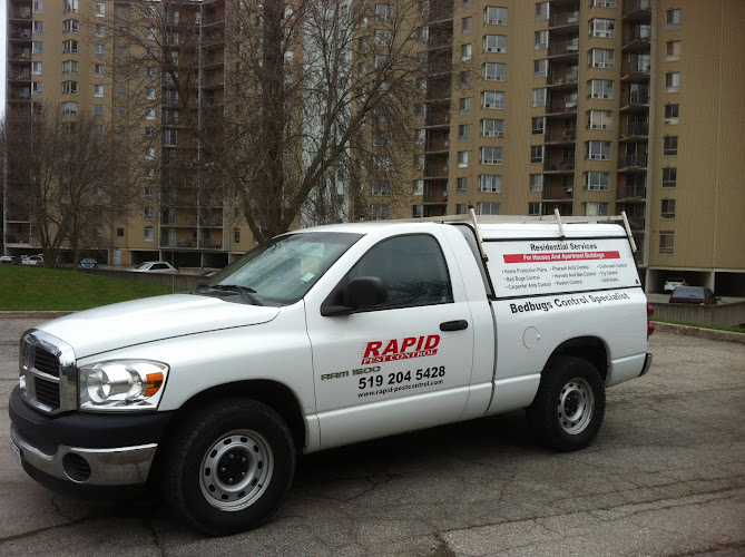 Rapid Pest Control London Onatrio work photo 1