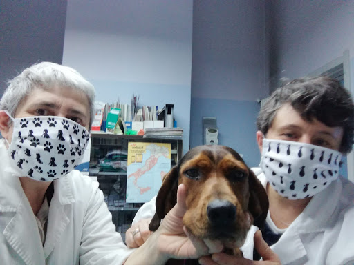 Ambulatorio Veterinario Associato Dr.Sse Cavaglia' - Calvo - Thumbnail