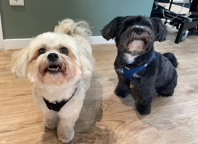 Foto von Hundesalon Herzblut