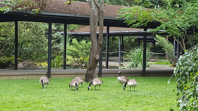 Bois de Vincennes