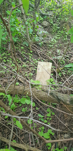 McCallum family Cemetery - Thumbnail