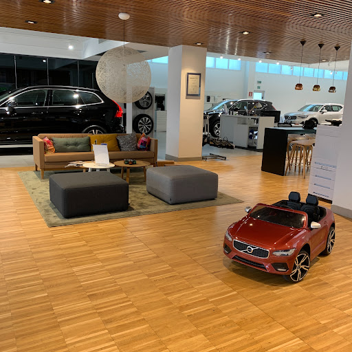 Romagnauto - Visual