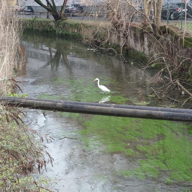Parco delle Memorie Industriali