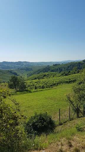 Fiamberti Giulio - Visual