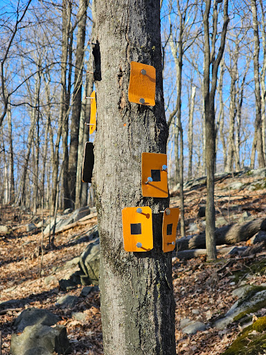 Orange Trail & Orange Black Trail Head