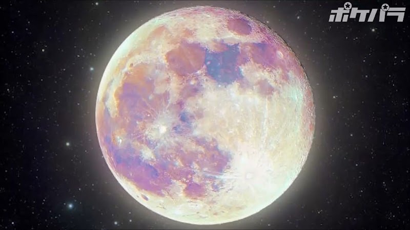 キャバクラ Lounge THE MOON 二子玉川