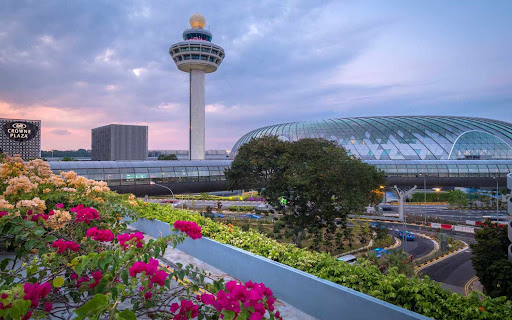 Singapore Changi Airport Gallery - Singapore