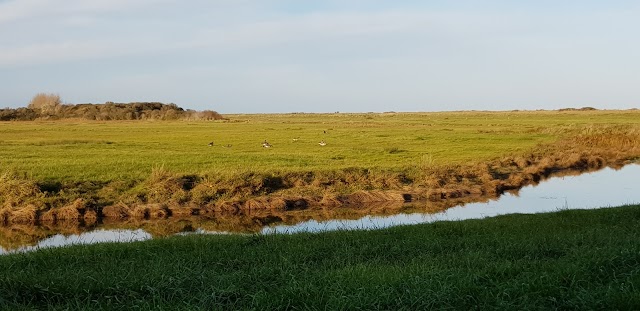 Observatoire Reserve Beauguillot