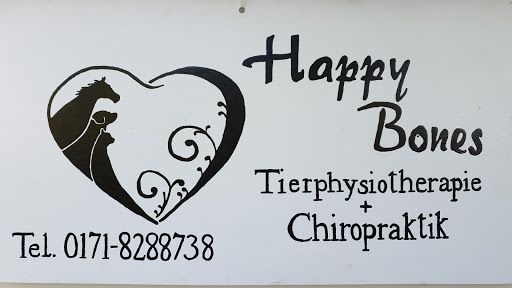 Happy Bones - Visual
