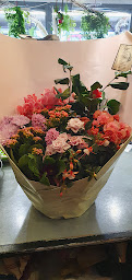 Photo n°17 de HYSOPE FLEURS à Arques-la-Bataille (Fleuriste)