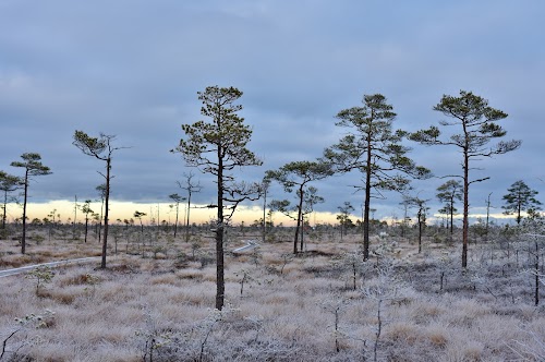 Vaatamisväärsused