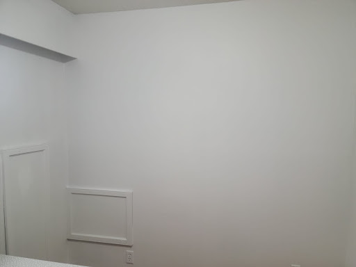 Maple painting - Visual