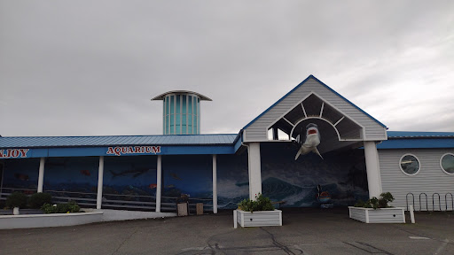Ocean World - Visual
