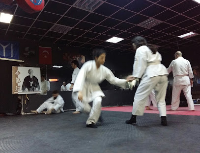 Uao Buca Aikido Okulu