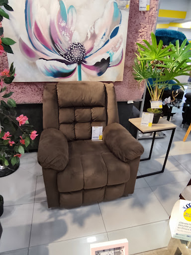 Coppel Patoni - Visual