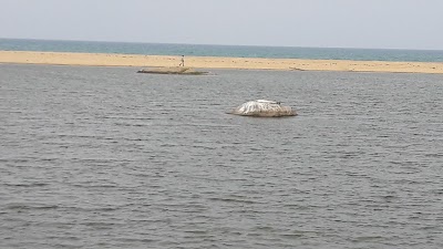Photos of Dream Paradise Resort