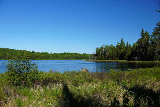 Swamper Lake Wayside Rest