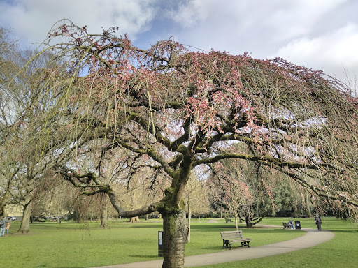 Henrietta Park - Thumbnail