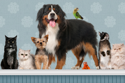 Photos of Arcadia Veterinary Clinic