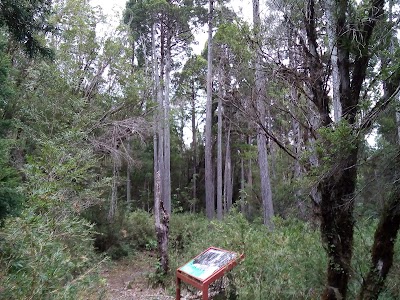 Photos of Valdivia National Reserve