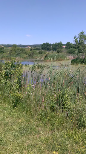 Old Crow Wetlands Area - Thumbnail