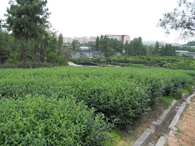 Photos of South China Agricultural University