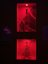 Photo n°17 de Le PINK night club à Saint-Paul (Bar à cocktails)
