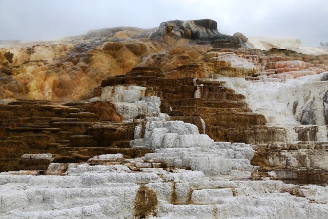 Mammoth Hot Springs